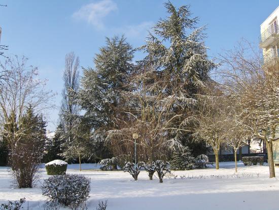 Joyeux Noël
